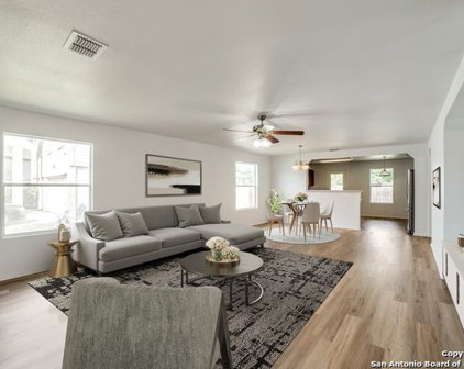 3520 Triangle Ranch, Schertz