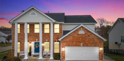 501 Oxborough  Court, St Peters