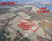 Tract 1 FM 2966, Quitman image