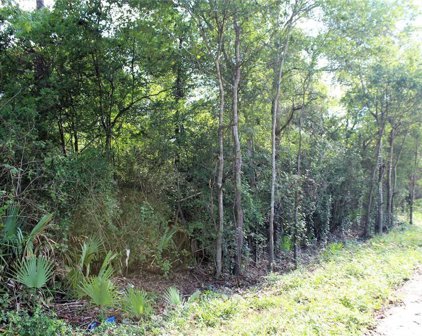 00 River Drive, Conroe