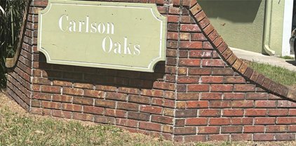 1399 Carlson Drive, Orlando