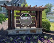 15432 Spring Winds Drive, Carmel image