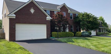 41590 Bostonian Pl, Aldie