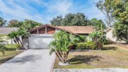 14510 Mecca Place, Tampa image