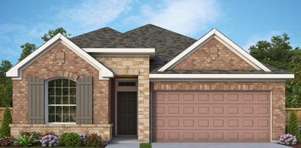 416 Buff Beauty Court, Willis