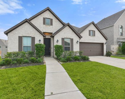 2234 Bayleaf Manor Drive, Manvel