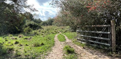 County Road 508, Brazoria