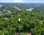 Lot 29  Crystal Cove County Road 270, Cullman image
