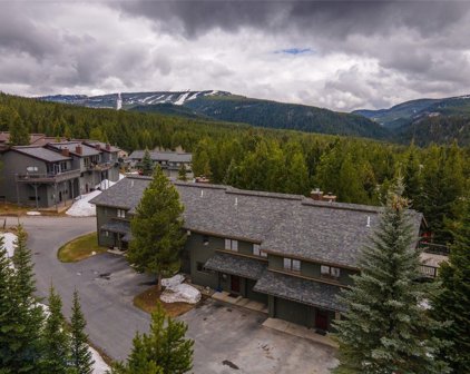 23 Coneflower, Big Sky