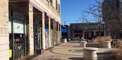 10 S Dunton Avenue Unit #404, Arlington Heights