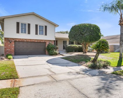 15613 Gardenside Lane, Tampa