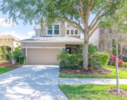 7699 Windchase Way, Wesley Chapel image