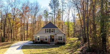 75 Big Oaks Court, Newnan
