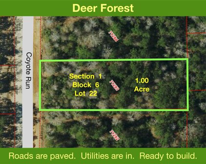 65 Coyote Run, New Waverly