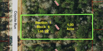 65 Coyote Run, New Waverly