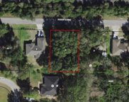 9532 E Peachtree Lane, Inverness image