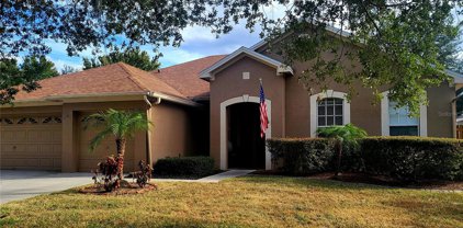 11105 Wildcat Drive, Riverview