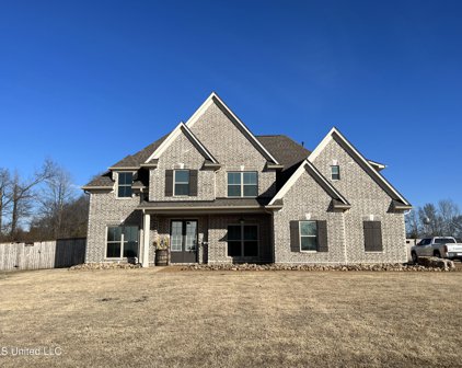 2906 Fall Spring Drive, Olive Branch