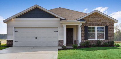 207 Chubbs Lane, Owens Cross Roads