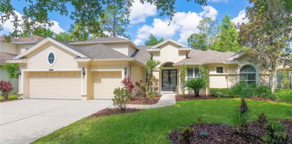 5115 Dunham Creek Place, Brandon