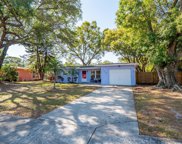2739 Avocado Drive, Clearwater image