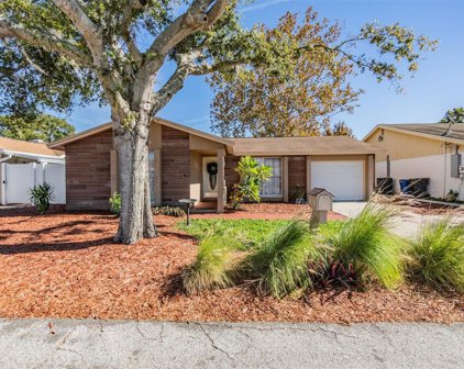 9608 Kingsburgh Court, Tampa