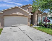 31050 Chatterly Drive, Wesley Chapel image