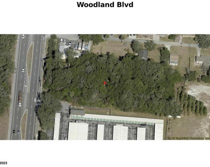 1819 N Woodland Boulevard, Deland