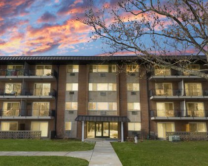 2230 S Goebbert Road Unit #145, Arlington Heights