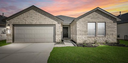 1146 Appaloosa, Rosharon