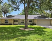 805 Fox Valley Drive, Longwood image