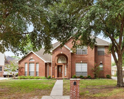 3123 Birch Park Lane, Houston