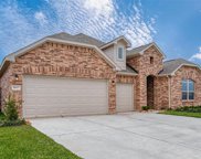 1807 Tioga View Drive, Rosharon image