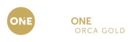Intrepidhometeam.com