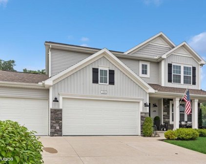 224 Arlington Lane, Niles