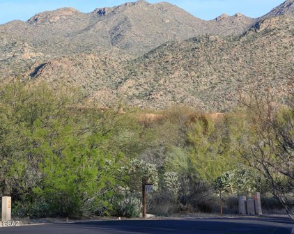 1235 W Weathered Stone Unit #Lot 118, Oro Valley