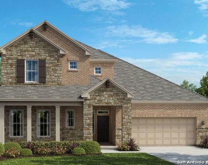 5345 Black Walnut, Bulverde