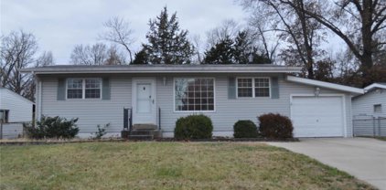 214 Freeman Drive, St Louis