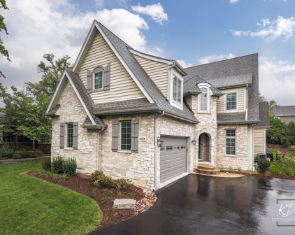 4529 Pershing Avenue, Downers Grove