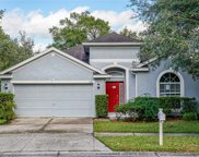 1184 Emerald Hill Way, Valrico image
