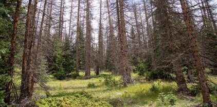 TBD Forest Rd 503, Creede
