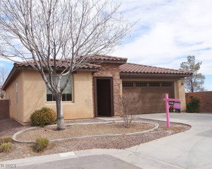 4921 S Riposo Court, Pahrump