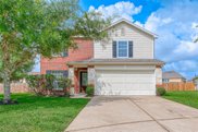 12901 Trail Hollow Court, Pearland image