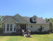 675 County Road 567, Gaylesville image