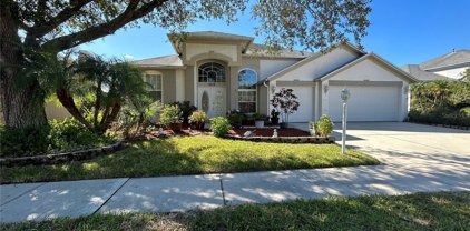 18118 Sweet Jasmine Drive, Tampa