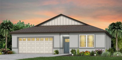 539 Pine Tree Boulevard, Lake Alfred
