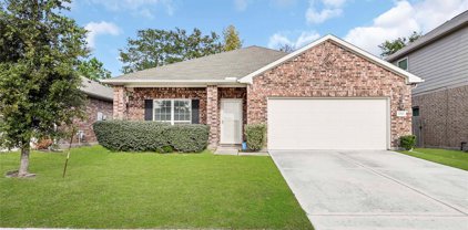 22810 Highland Bluff Lane, Spring