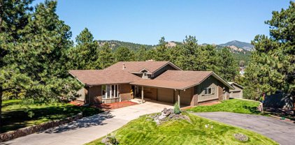 29253 Sue Road, Evergreen