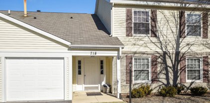 718 Crescent Court Unit #B-1, Bartlett