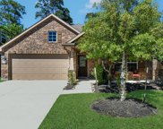 9723 Clanton Pines Drive, Humble image